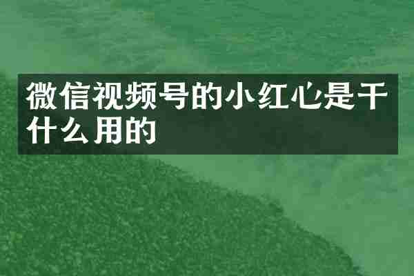 微信视频号的小红心是干什么用的