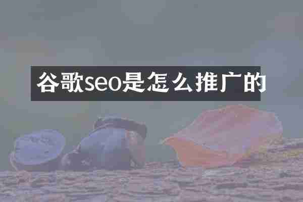 谷歌seo是怎么推广的