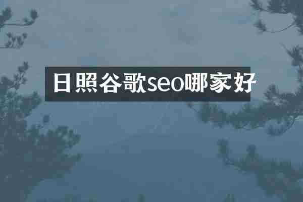日照谷歌seo哪家好