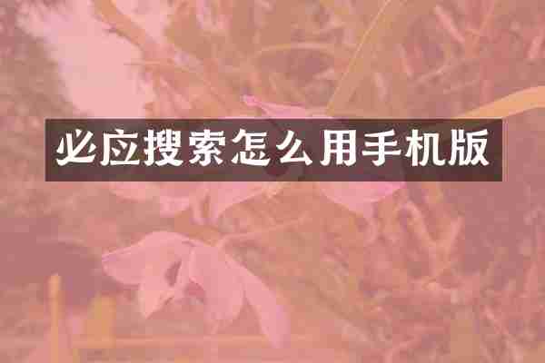 必应搜索怎么用手机版