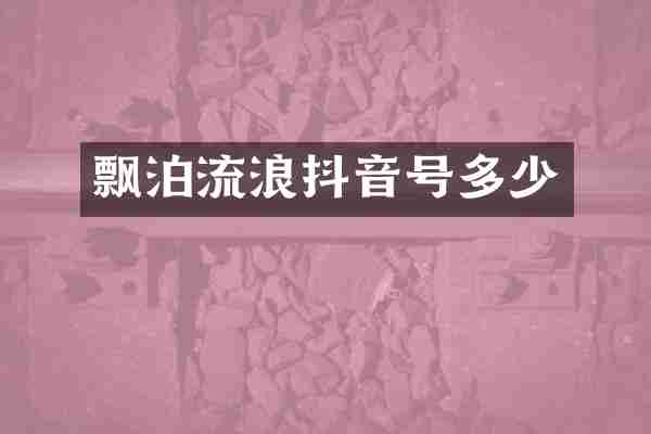 飘泊流浪抖音号多少