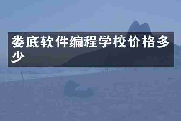 娄底软件编程学校价格多少