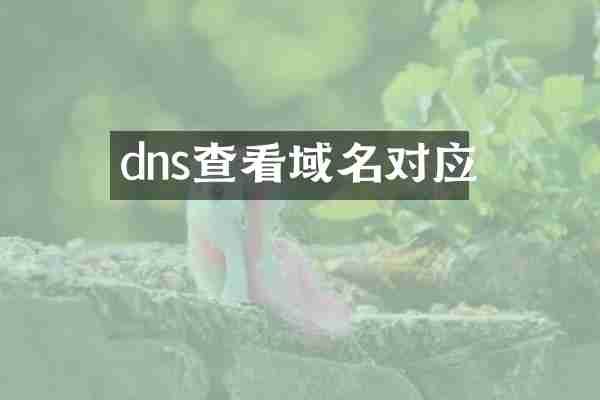 dns查看域名对应