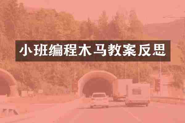 小班编程木马教案反思