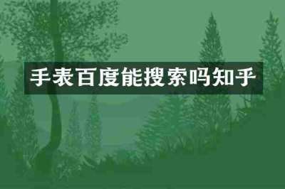 手表百度能搜索吗知乎