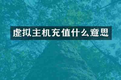 虚拟主机充值什么意思