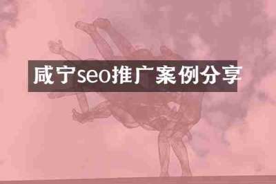 咸宁seo推广案例分享