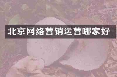 北京网络营销运营哪家好
