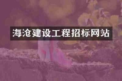 海沧建设工程招标网站