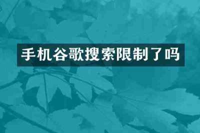 手机谷歌搜索限制了吗
