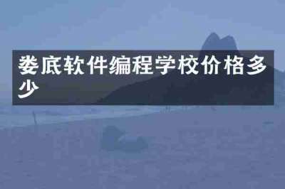 娄底软件编程学校价格多少