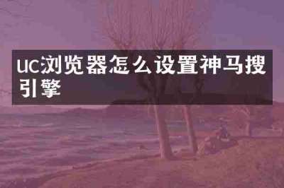 uc浏览器怎么设置神马搜索引擎