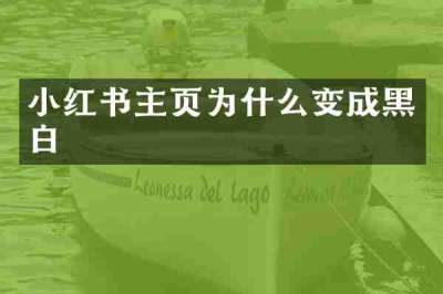 小红书主页为什么变成黑白