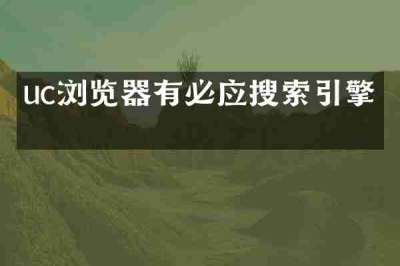 uc浏览器有必应搜索引擎吗