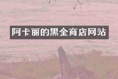 阿卡丽的黑金商店网站