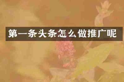 第一条头条怎么做推广呢