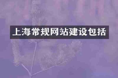 上海常规网站建设包括