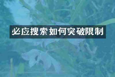 必应搜索如何突破限制