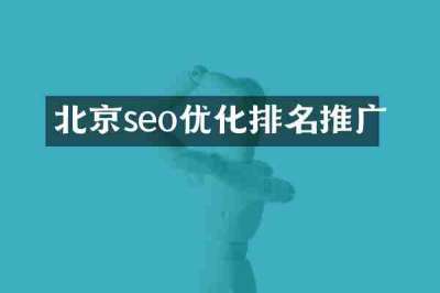 北京seo优化排名推广