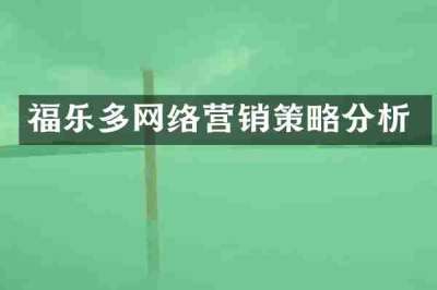 福乐多网络营销策略分析