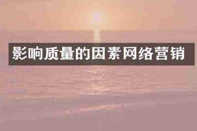 影响质量的因素网络营销