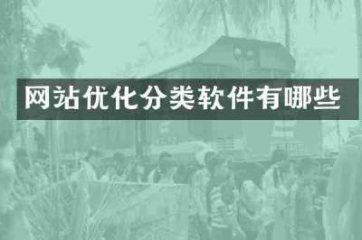 网站优化分类软件有哪些