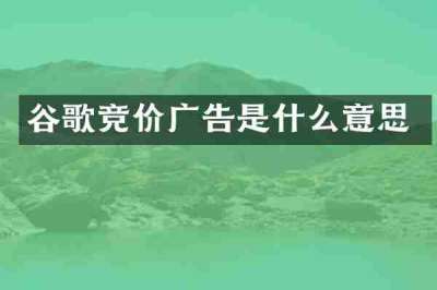 谷歌竞价广告是什么意思