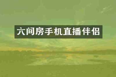 六间房手机直播伴侣