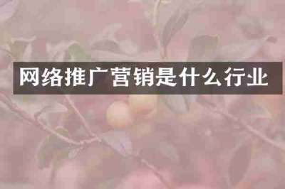 网络推广营销是什么行业