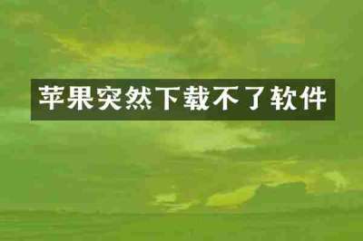 苹果突然下载不了软件