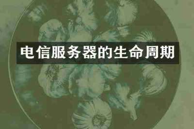 电信服务器的生命周期