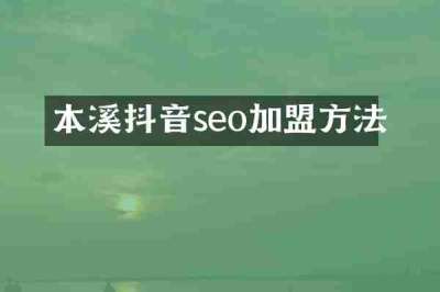 本溪抖音seo加盟方法