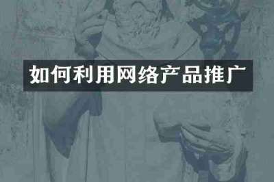 如何利用网络产品推广