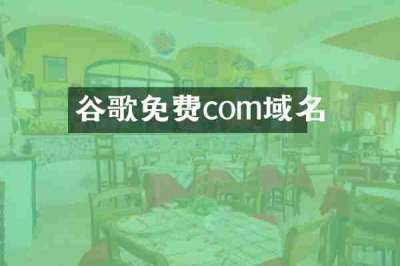 谷歌免费com域名
