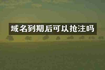 域名到期后可以抢注吗