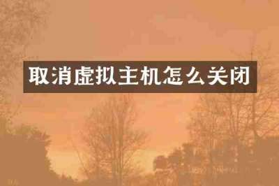取消虚拟主机怎么关闭