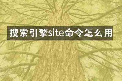 搜索引擎site命令怎么用