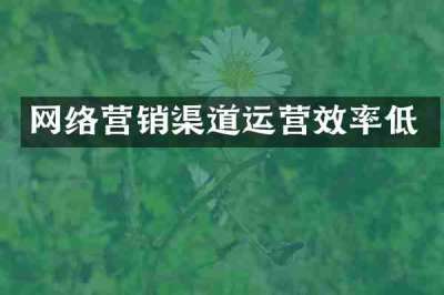 网络营销渠道运营效率低