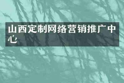山西定制网络营销推广中心