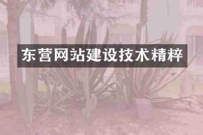 东营网站建设技术精粹