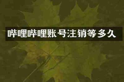 哔哩哔哩账号注销等多久