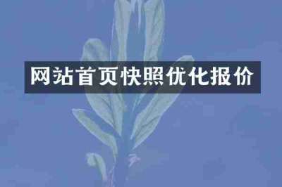 网站首页快照优化报价