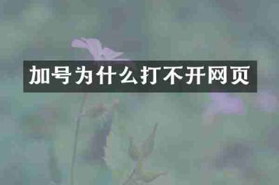 加号为什么打不开网页