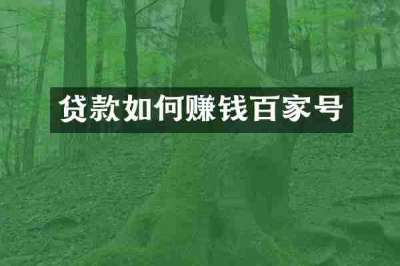 贷款如何赚钱百家号