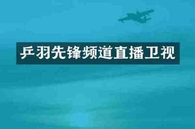 乒羽先锋频道直播卫视