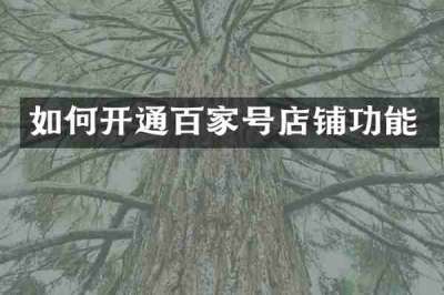 如何开通百家号店铺功能