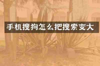 手机搜狗怎么把搜索变大