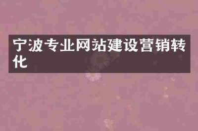 宁波专业网站建设营销转化