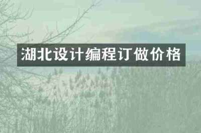 湖北设计编程订做价格