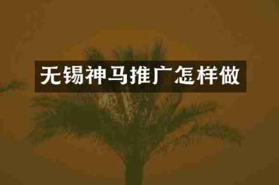 无锡神马推广怎样做